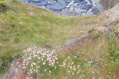 image010