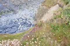 image011