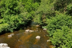 image001-3