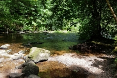 image004-3