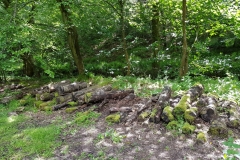 image005-3