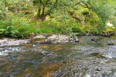 image007-1