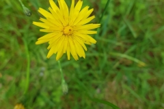 image004-4