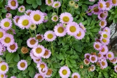 image012-3