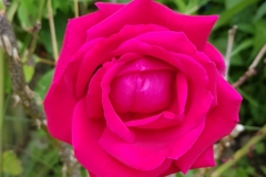 image014-2