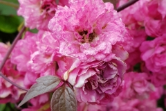 image021