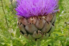 image022