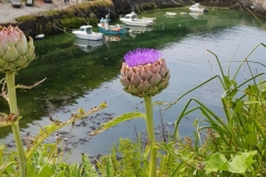 image023