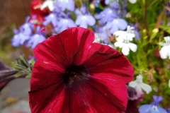 image024