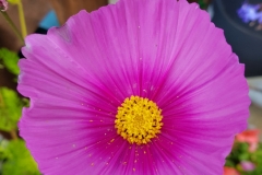 image025