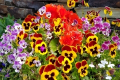 image026