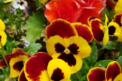 image027