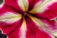 image028
