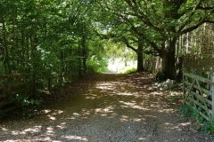 image006
