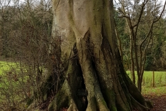 image009-5