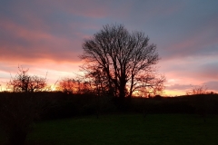 image014