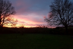 image016