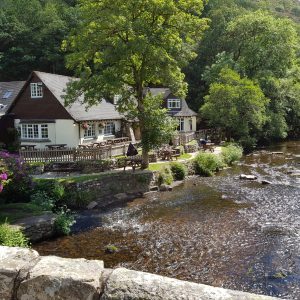 Fingle Bridge