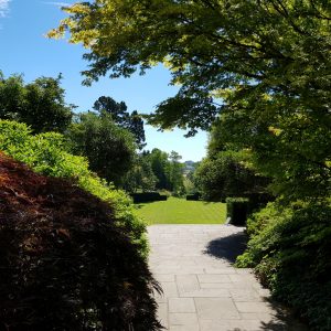 Dartington Photography