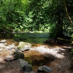 Fingle Bridge