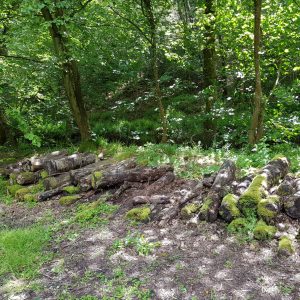 Fingle Bridge