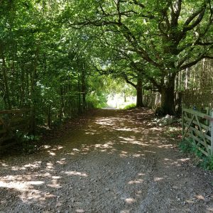 Dartington Photography